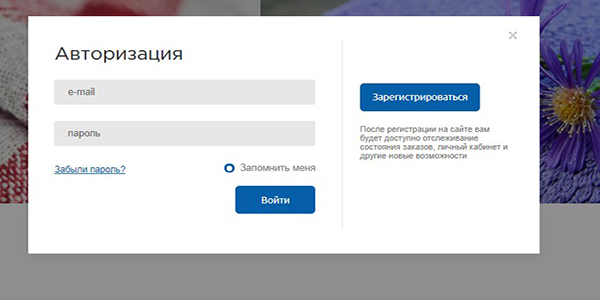 авторизация.jpg авторизация.jpg